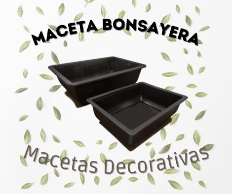 maceta_bonsayera